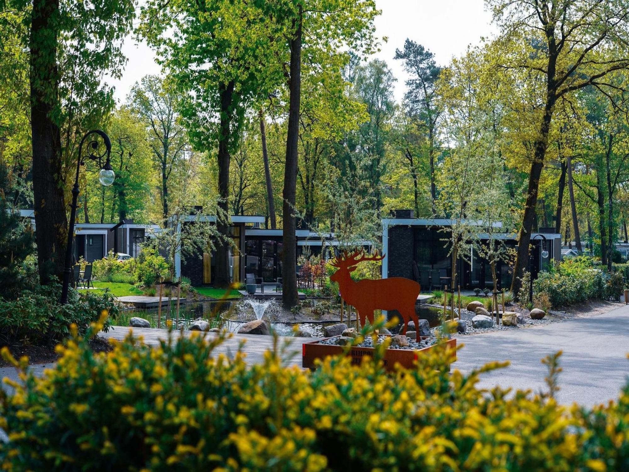 Modern House With Dishwasher In A Nature Reserve Hoenderloo Luaran gambar